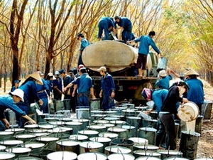 ការរួម​វិភាគ​ទាន​របស់អង្គភាពអាជីវកម្មកៅស៊ូវៀតណាមនានាចំពោះការអភិវឌ្ឍន៍​របស់កម្ពុជា